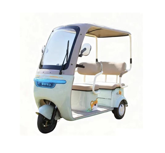 f2e4d0d0ba33a928b9269faa071503b1 Leisure tricycle--L8