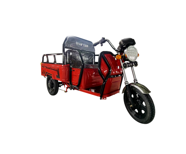 Cargo tricycle--AT1000DZH