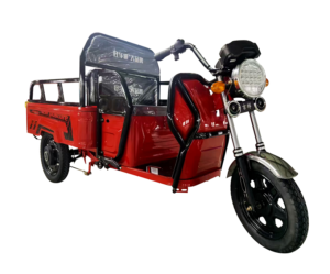 Cargo tricycle--AT1000DZH
